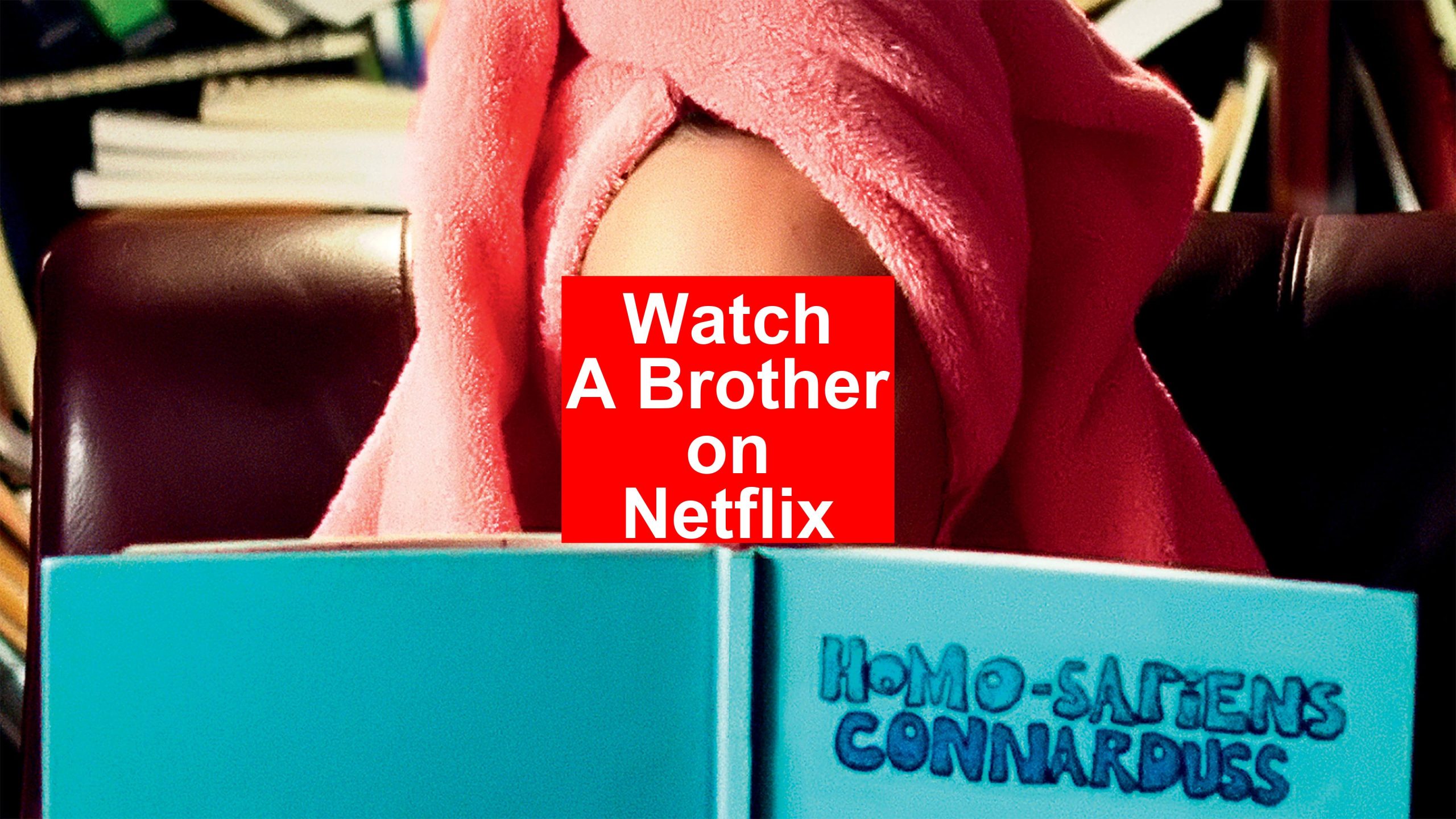 How to Watch A Brother On Netflix [Best Guide 2024] My Vpn Hub