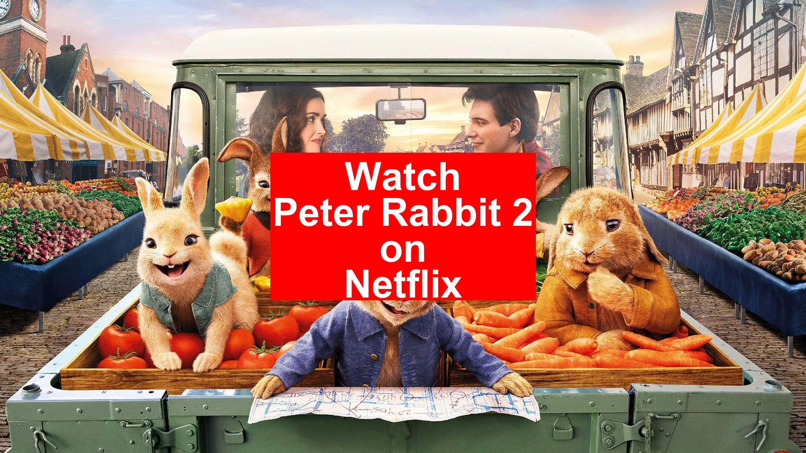 How to Watch Peter Rabbit 2 On Netflix [Easy Guide 2024] My Vpn Hub