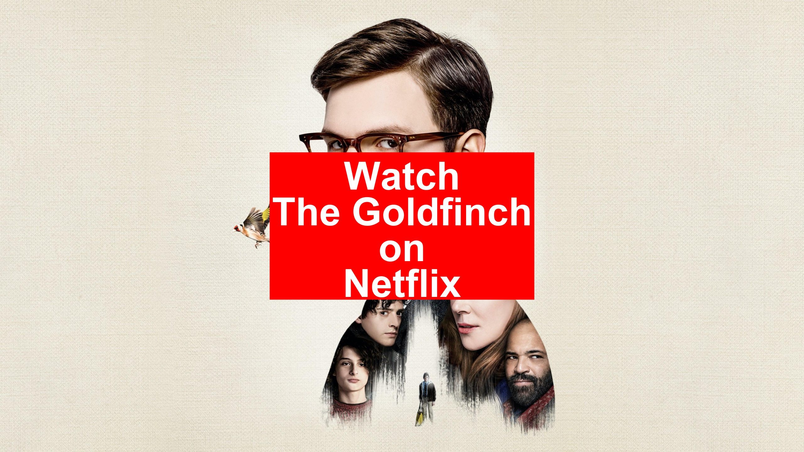 How to Watch The Goldfinch On Netflix [Easy Guide 2024] My Vpn Hub