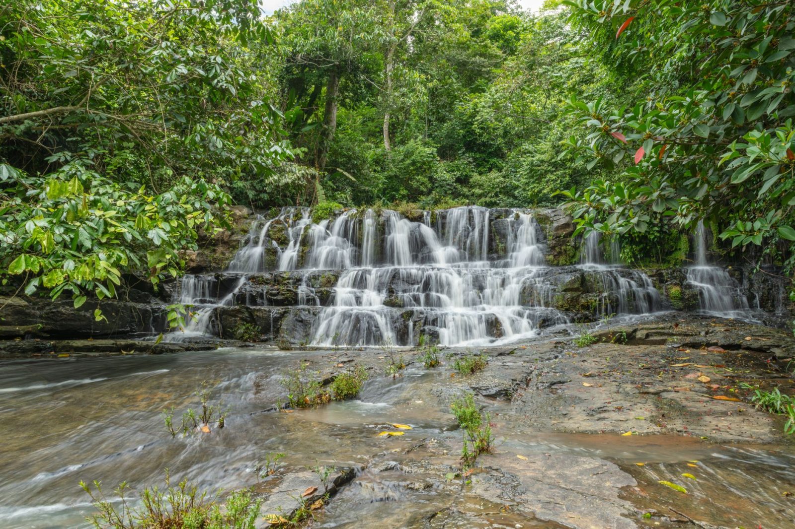 Watch PBS in Costa Rica on a TV screen