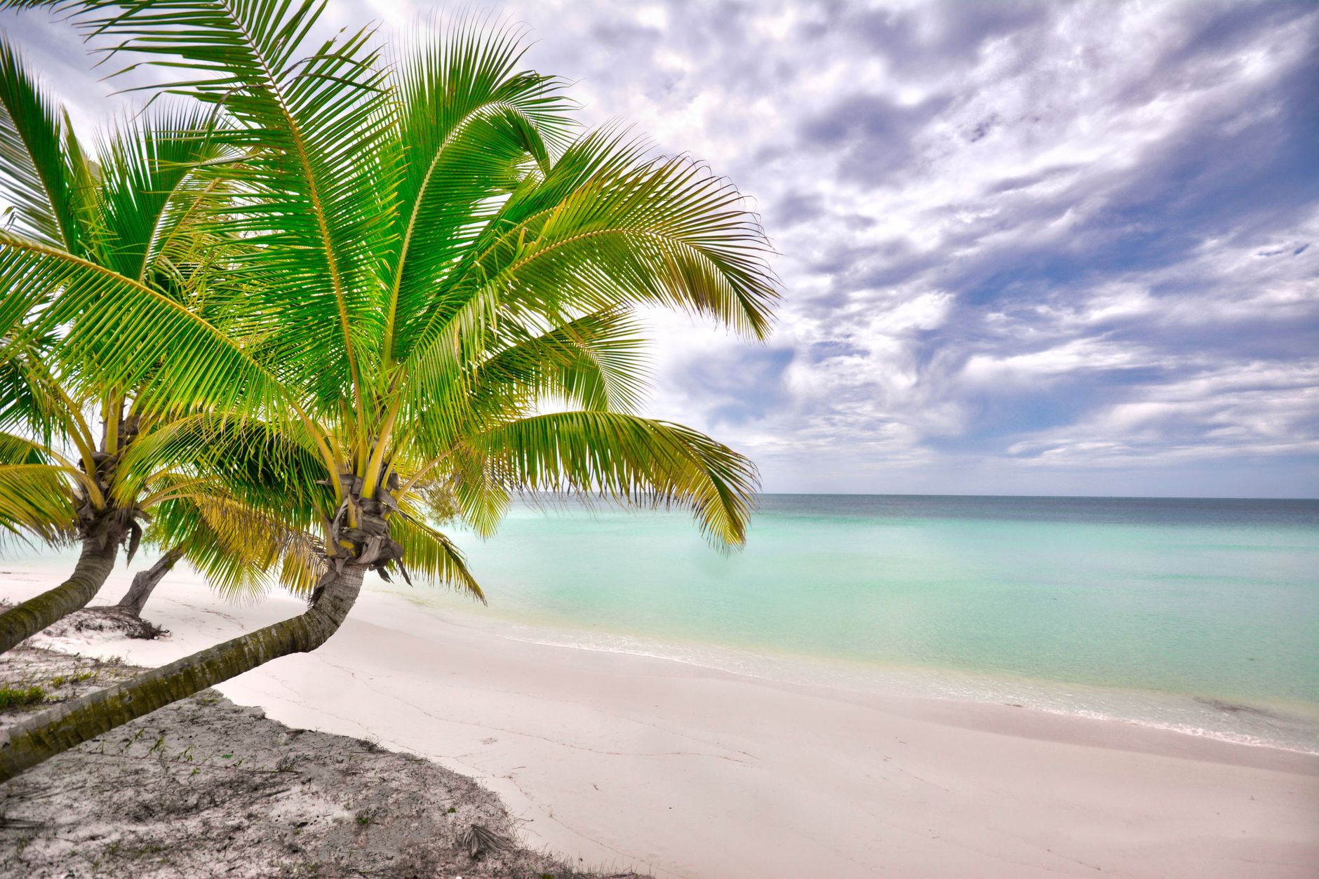 Watch Tubi in the Bahamas on a TV screen